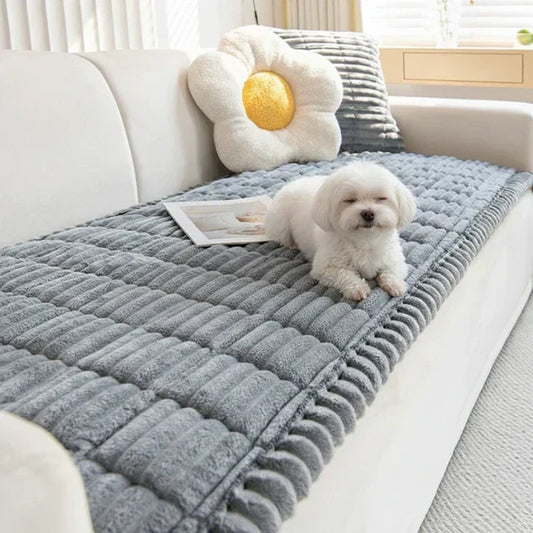 Lovia – Honden Kleed